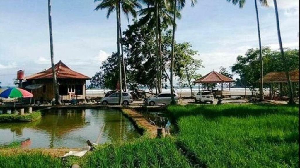 Revive Lampung Krui King Resort Exteriér fotografie